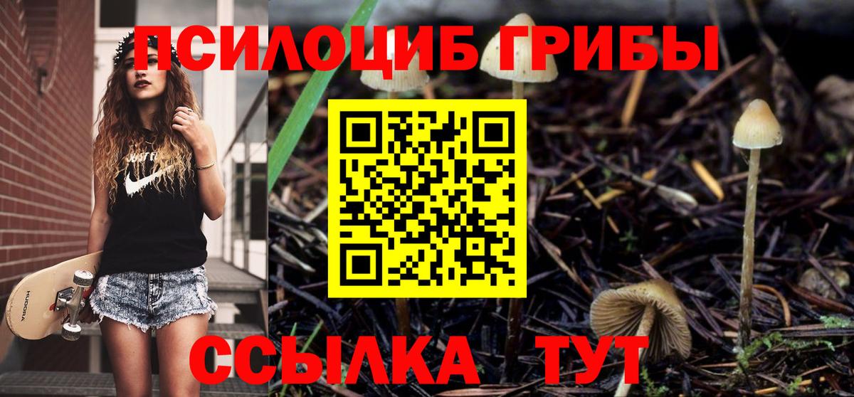 Галлюциногенные грибы Cubensis Асбест
